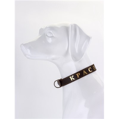 Ошейник «Красотка», 60×2.5 см, однослойный, тиснение фольгой, кожа, цвет МИКС