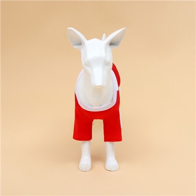 Толстовка для собак с колпаком Santa, S (ДС 25, ОГ 35 см)