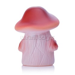 Гриб Боровик