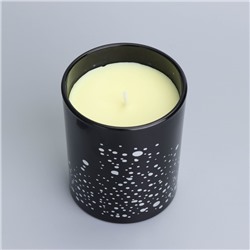 Ароматическая свеча в стакане Silver Spot, ежевика, чёрный стакан