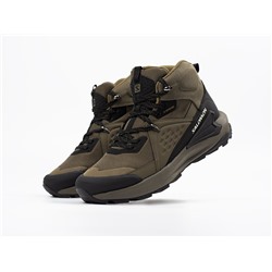 Ботинки Salomon ELIXIR MID GTX