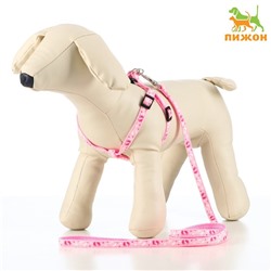 Шлейка с поводком «Цветные следы», ОГ 23-35, ширина 1 см, поводок 120 см, розовая