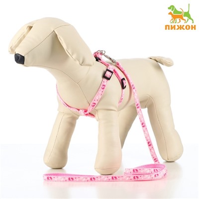 Шлейка с поводком «Цветные следы», ОГ 23-35, ширина 1 см, поводок 120 см, розовая