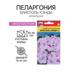 Семена цветов Пеларгония "БРИСТОЛЬ КЭНДИ", F1, 0,03 гр.