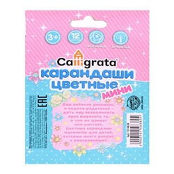 Карандаши Calligrata «Принцесса», цветные, 12 цветов деревянные, трёхгранные, мини