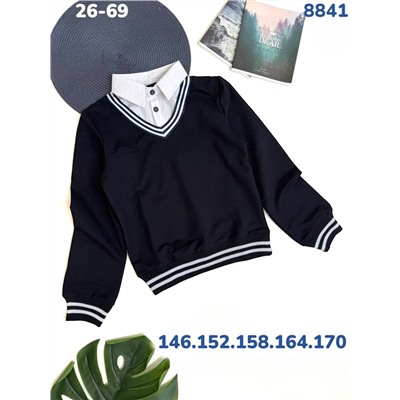 Джемпер 8841 синий