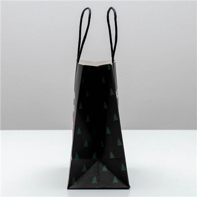 Пакет подарочный новогодний «А ты уже синяя», 22×22×11 см