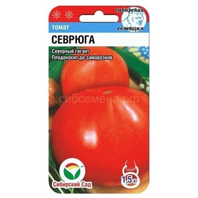 Томат Севрюга (Сиб сад)