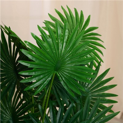 Дерево искусственное «Ливистона», h=75 см