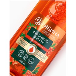 Мыло жидкое для рук, увлажнение и забота, аромат рябины, 250 мл, Рябина