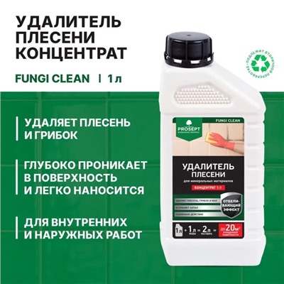 Удалитель плесени Prosept Fungi Clean, концентрат, 1 л