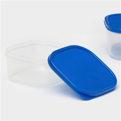 Набор контейнеров для хранения еды Доляна, квадратных, 2 шт.: 450 мл, 700 мл, пластик, прозрачные, крышка синяя