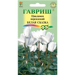 Цикламен Белая сказка (Гавр)