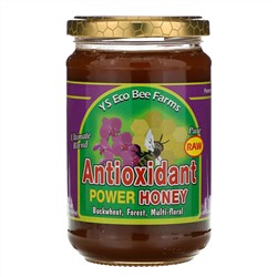 Y.S. Eco Bee Farms, Антиоксидантная сила меда, 13,5 унций (383 г)