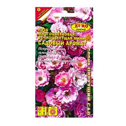 Семена цветов Роза Садовый аромат многоцветковая А/З Мн, Ц/П,0,03 г