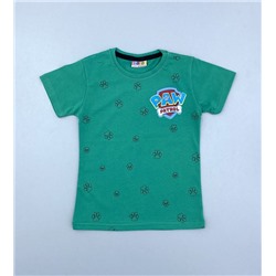 Футболка для мальчика TRP7808