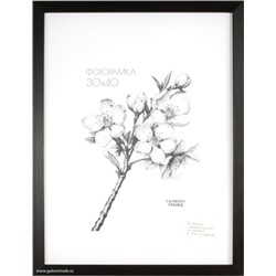 Фоторамка 30х40  / ZR208B-22 /с акрил. стеклом/ уп10