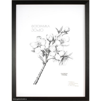 Фоторамка 30х40  / ZR208B-22 /с акрил. стеклом/ уп10