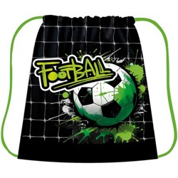 Сумка для сменной обуви 41х49 см СДС-53 "GREEN FOOTBALL" Пчелка
