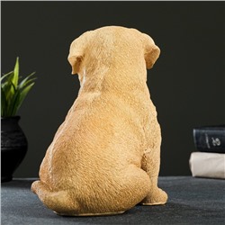Садовая фигура из полистоуна «Щенок лабрадора», 17×12×20 см