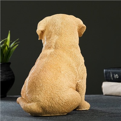 Садовая фигура из полистоуна «Щенок лабрадора», 17×12×20 см