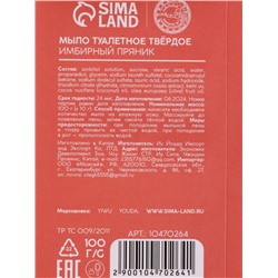 Новогодний подарочный набор косметики «Зимнее чудо»: мыло для рук кусковое 100 г и мочалка для тела, URAL LAB