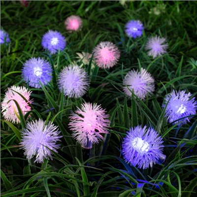 УЦЕНКА Гирлянда «Нить» 4.5 м с насадками «Ёжики», IP44, тёмная нить, 30 LED, свечение синие/фиолетовое/розовое, 2 режима, солнечная батарея