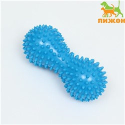 Игрушка «Кость массажная», пластикат, микс цветов, 15 см