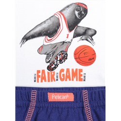 PELICAN Комплект BUAVL3225