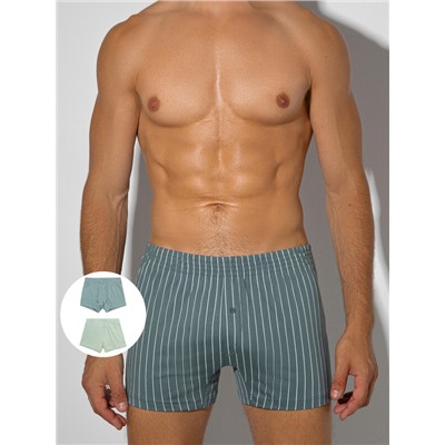 ТРУСЫ МУЖСКИЕ (2ШТ) 411152-2