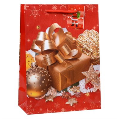 Пакет подарочный Новый год 17х24х8 / 1700S /уп 12/960/128г/м2 микс