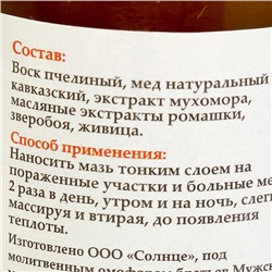 Мазь «Солох аул» Живичная с Мухомором, 30 мл