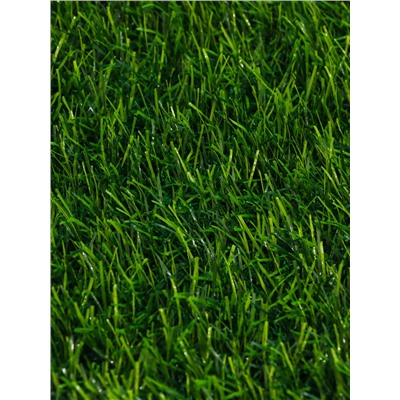 Газон искусственный, с проклейкой, ворс 3 см, 2×25 м, зелёный, Greengo