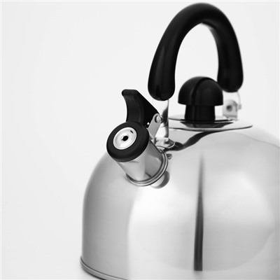 Чайник со свистком Доляна «Чёрная ночь», 3 л, нержавеющая сталь, фиксированная ручка, хромированный