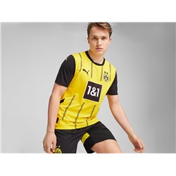 Футбольная форма Puma FC BVB