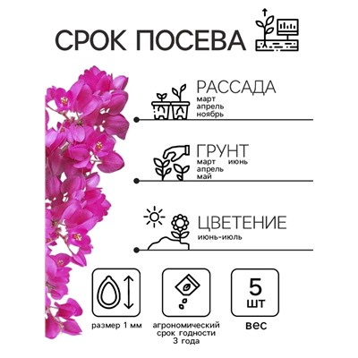 Семена Антигонон "Лиана любви", ц/п,  5 шт.