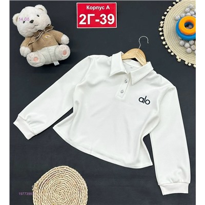 кофта 1977399-1