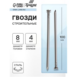 Гвозди ТУНДРА, строительные, ГОСТ 4028-63, без покрытия, 4×100 мм, фасовка 1 кг