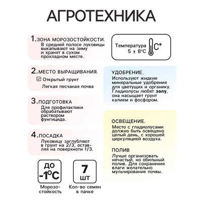 Гладиолус примуловидный "Атом", р-р 10+, 7 шт,