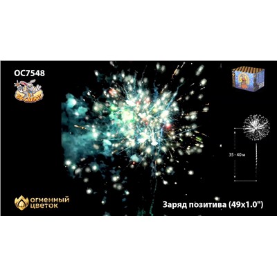 Фейерверк ОС7549 Заряд позитива (0,8" х 49)