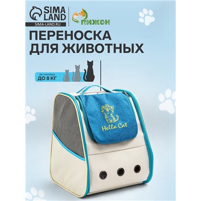 Рюкзак для переноски кошек и собак, прозрачный, 32×28×38 см, бело-синий