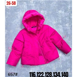 куртка весна 2053533-1