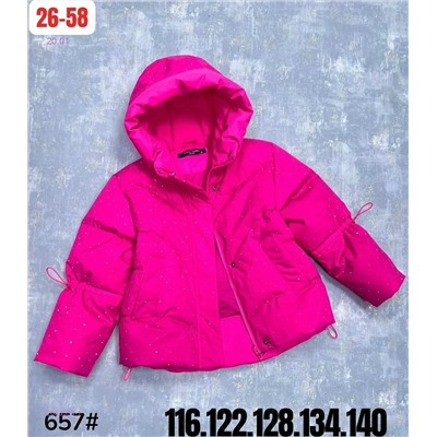 куртка весна 2053533-1