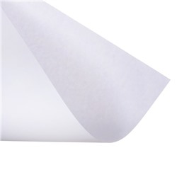 Набор ватманов чертёжных А1, 160 г/м², 20 листов