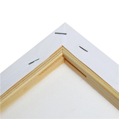 Холст на подрамнике, хлопок 100%, 1.6×60×70 см, акриловый грунт, мелкозернистый, 280 г/м²