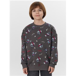 СВИТШОТ ДЛЯ МАЛЬЧИКОВ 123437/1