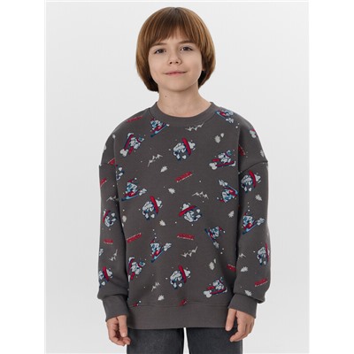 СВИТШОТ ДЛЯ МАЛЬЧИКОВ 123437/1