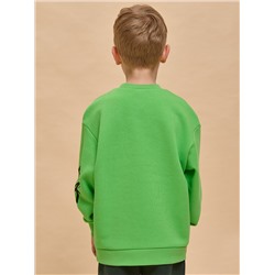 PELICAN Толстовка BFN3335