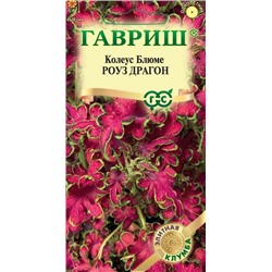 Колеус Роуз Драгон (Код: 93776)