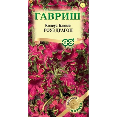 Колеус Роуз Драгон (Код: 93776)